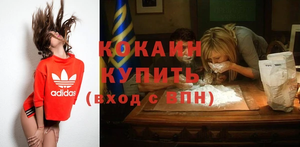 крисы Абаза