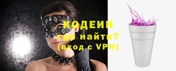 крисы Абаза