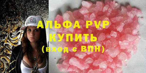 крисы Абаза