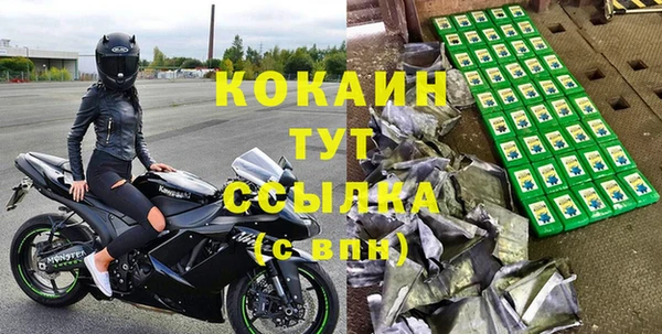 крисы Абаза